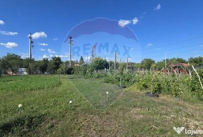 Casă cu 6 camere cu Teren 2655 Mp în Toporu - 6