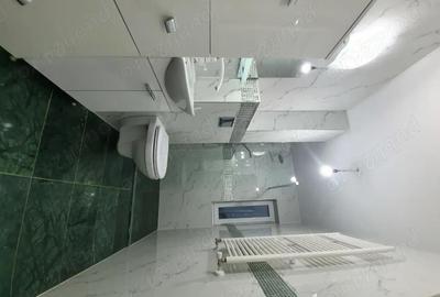 Casă cu 6 camere cu Teren 350 Mp în Dumbrăvița - 2