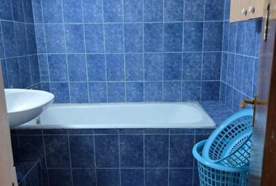 Apartament cu 3 camere semidecomandat, mobilat în Liviu Rebreanu - 9