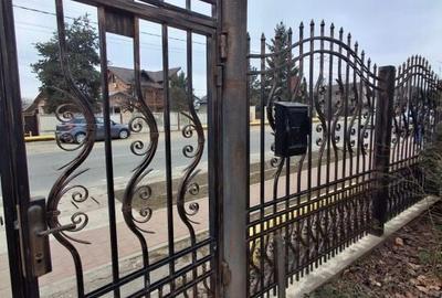 Vila P+1  Ploiesti - Paulestii Noi - 5