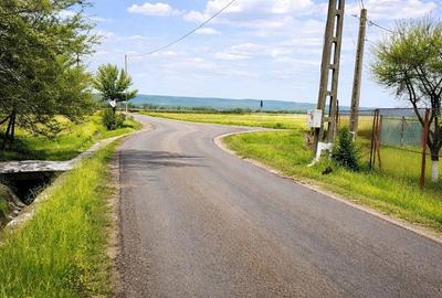 Teren de 990 mp, în Sântana de Mureș - 2