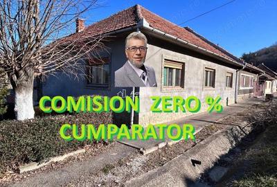 Casă cu 10 camere cu Teren 250 Mp în Bocșa