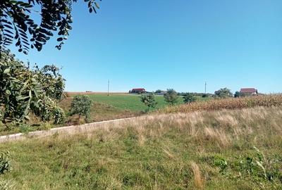 Teren intravilan cu suprafață de 1800m² Saucenița com Văculești - 3