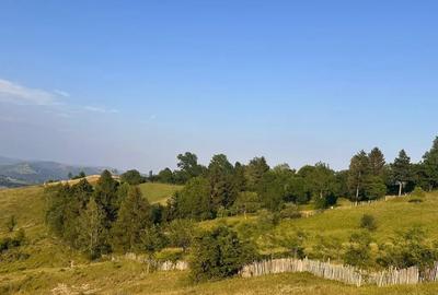 Teren de 13000 mp, în Talea - 1