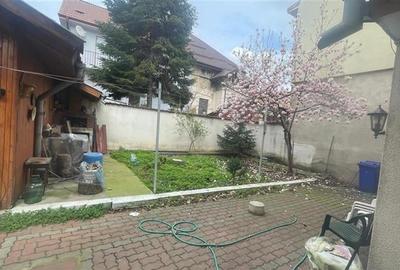 Ferdinand, cartier rezidential, vila burgheza cu magnolie - 8