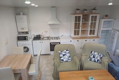 Închiriere ap. 1 cameră, sup. 40 mp. în Centru, zona Prefecturii - 2