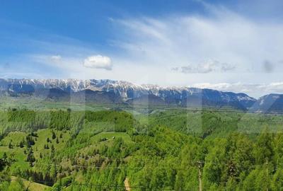 Casa de vacan?a, pretabila pentru pensiune in Moieciu - 3