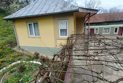Casă cu 3 camere în Bezdead