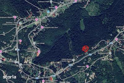 Teren de 1800 mp, în Băișoara - 3