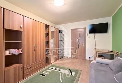 Garsoniera renovata complet Blascovici Parter - 2