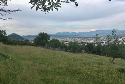 Teren de 750 mp, în Bejan - 3