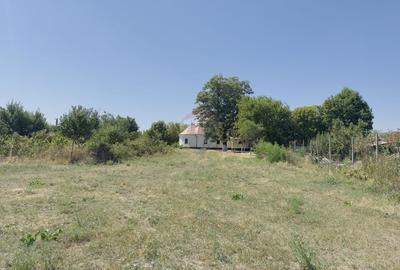 Teren Construcții intravilan de 2841 mp, în Apateu - 14