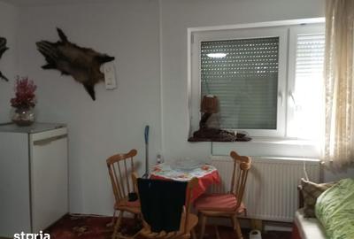 Casă cu 3 camere cu Teren 3320 Mp în Căpușu Mare - 11