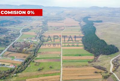 Teren extravilan de 62000 mp, în Gilău - 2