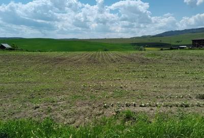 Teren 8500mp+8500 mp, deschidere 32 m+32 m, Negresti, Jud. Neamt - 2