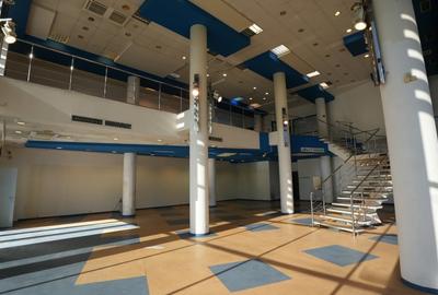 Inchiriere Spatiu Comercial 395 mp P+E Palas Campus Trafic Intens - 4