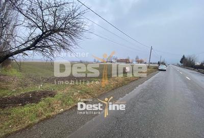 Teren Construcții intravilan de 7200 mp, în Doina - 1