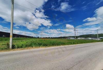 Teren de 4944 mp, în Ștefănești - 3