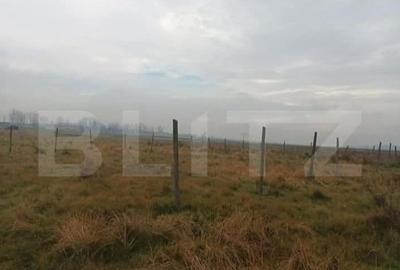 Teren de 600 mp, în Central