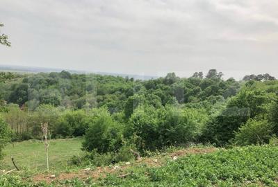 Teren de 14700 mp, în Central
