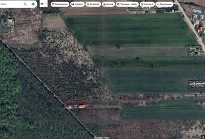 `Teren cu dubla deschidere, langa padure, Snagov - Strada Parcului - 5