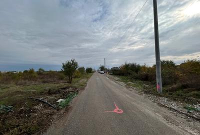 Darvari Ciorogarla Str Tineretului 2 loturi 500 mp zona in dezvoltare - 10