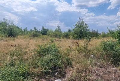 Teren de 21000 mp, în Bradu - 2
