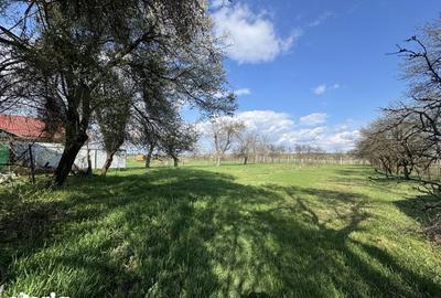 Casă cu 2 camere cu Teren 1702 Mp în Șercaia - 18