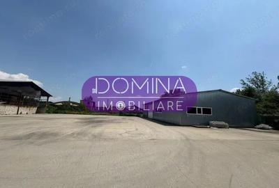 Vanzare complex industrial multifunc?ional pozi?ie strategica, Targu Jiu - 2
