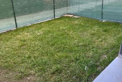 Apartament cu 2 camere decomandat în Ozana - 7