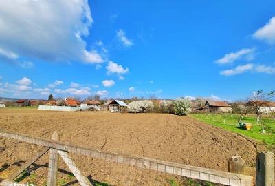 Casă cu 3 camere cu Teren 2000 Mp în Sâniob - 2