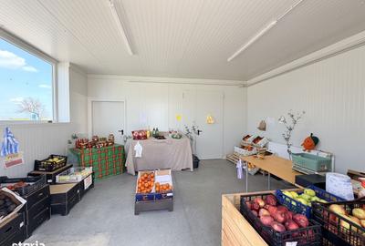 Spațiu comercial, de 10,000 mp, în Horia - 8