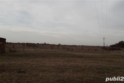 Teren de 1000 mp, în Băile Felix - 7