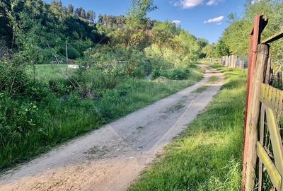 Casă individuală cu 4 camere cu Teren 979 Mp în Tohanu Vechi - 30