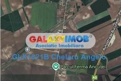 Spațiu comercial, în Căciulați