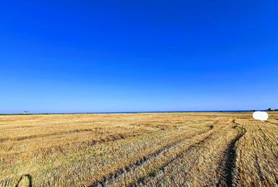Teren agricol extravilan de 818 mp, în 23 August - 2