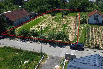 Teren de vanzare in Curtea de Arge?. - 2