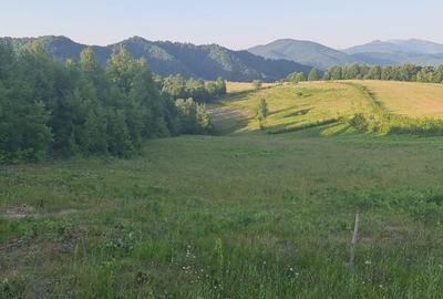 Teren de 9500 mp, în Bârsana - 1