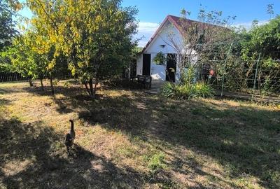 Vila individuala, teren 1070 mp, realizata in regie proprie Vila individuala, teren 1070 mp, realizata in regie proprie - 15