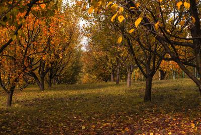Casă cu 4 camere în Făget - 6