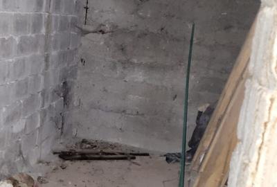 Teren de 100 mp, în Băița - 4