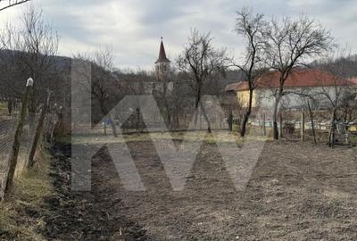 Casa cu potential deosebit in Vesud – ideala pentru un nou inceput la tara - 3