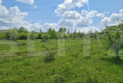 Teren de 1500 mp, în Central - 7