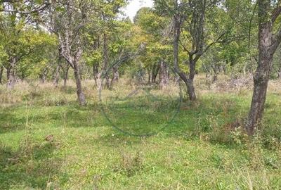 Teren de 10000 mp, în Central