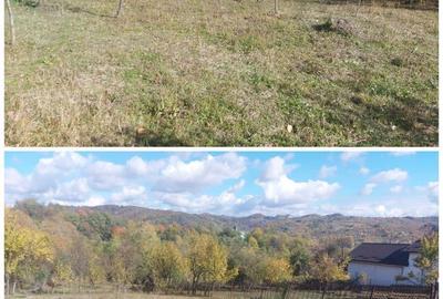 Spațiu comercial, în Berevoești - 5