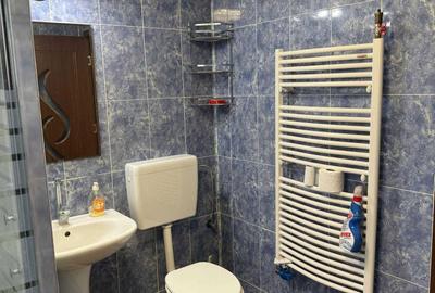 Casă cu 2 camere în Șipet - 8