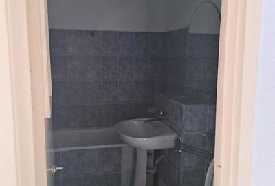 Apartament cu 2 camere decomandat în Carpați 2