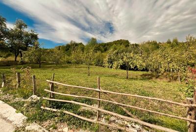 Teren 9.800 mp – Investiție ideală în mijlocul naturii | 10€/mp - Comision 0% - 5