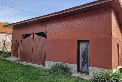 Casă cu 2 camere cu Teren 2700 Mp în Măhăceni - 4