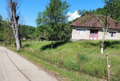 Casă cu 2 camere în Ormindea - 1